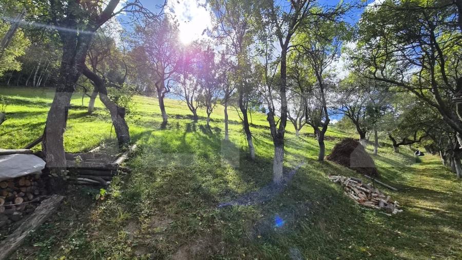 Casă individuală cu 3 camere cu Teren 23000 Mp în Poiana Mărului