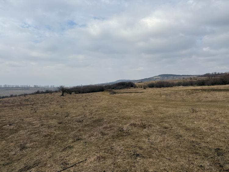 Teren agricol extravilan de vânzare – 67.500 mp – Dealul Daii, Sibiu - 6