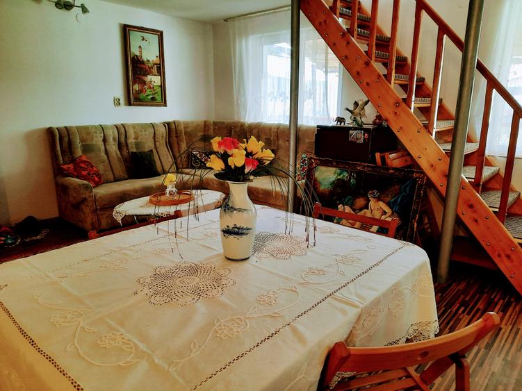 Ilia, proprietate deosebita - 1