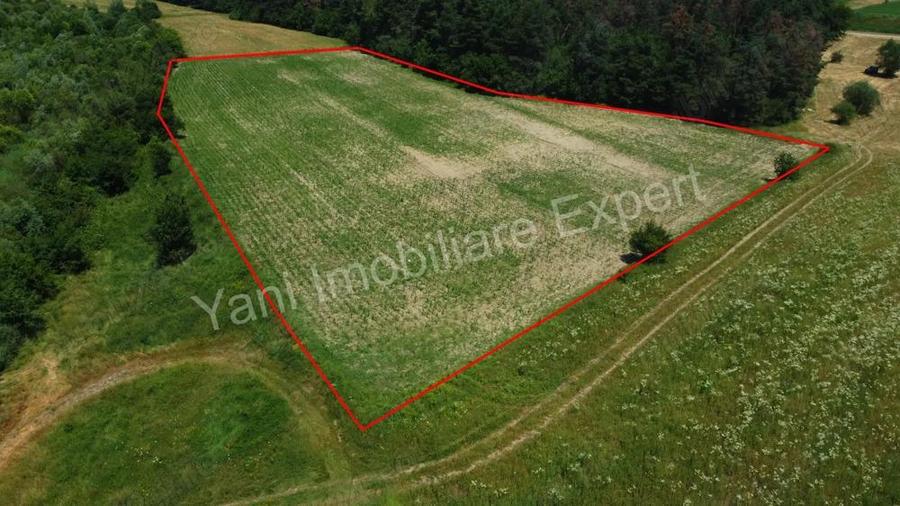 Teren de vanzare in comuna Baicule?ti, Judet Arge?. - 8