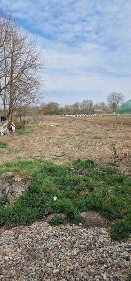 Casa individuala + teren generos 2712 mp Oarda, Alba Iulia - 5