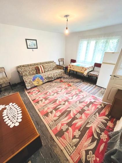 CASĂ + Teren 4616 mp RĂUCEȘTI, langa TARGU NEAMȚ - 4