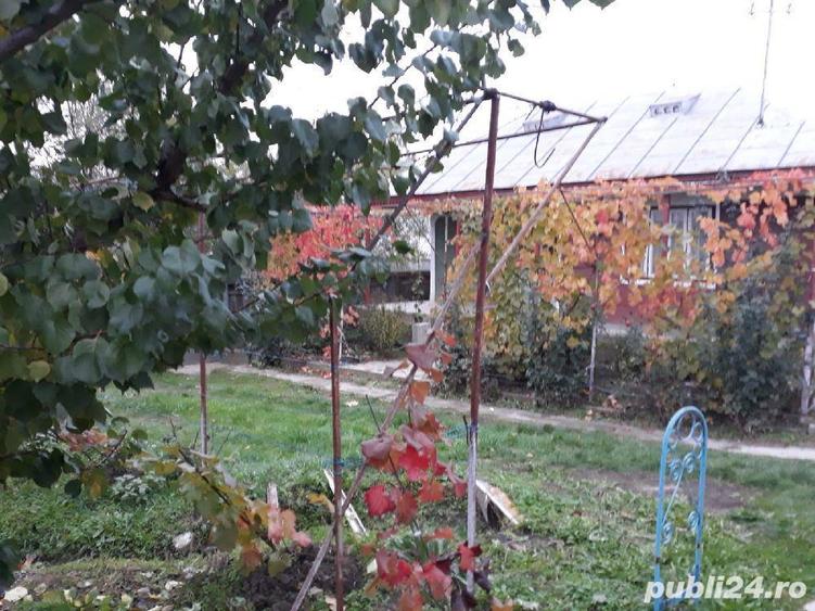 Vand casa in Dealu Morii - 5