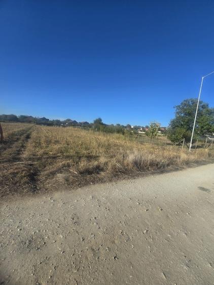 Teren 1000mp ,la intrarea in Filiasi - 3