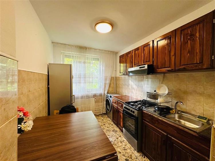 APARTAMENT 2 CAMERE, PARTER, ZONA ROGERIUS, STRADA ALUMINEI - 1