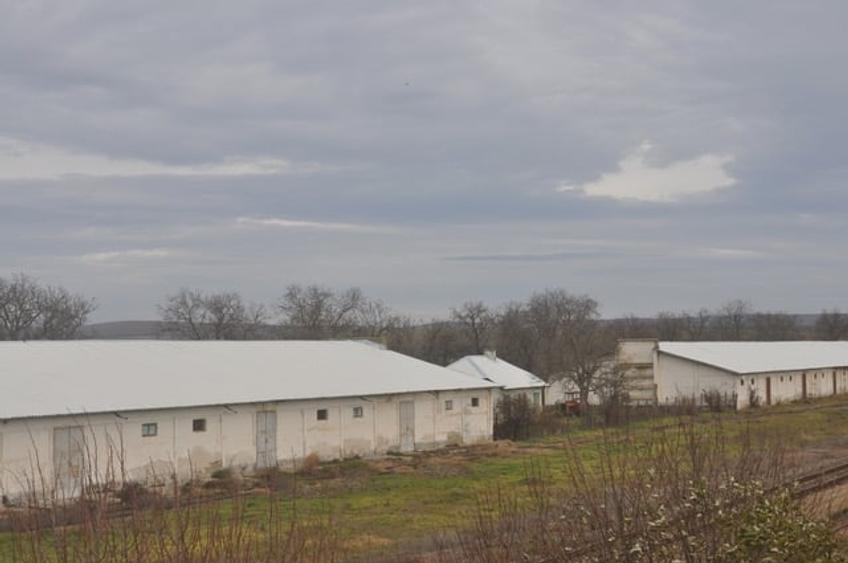 DEPOZIT CEREALE - CEAMURLIA DE JOS/STATIA CFR TVA INCLUS - 9