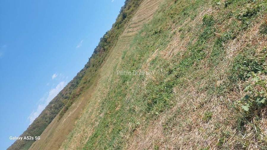 Vand teren intravilan in Panic Vand teren intravilan in Panic