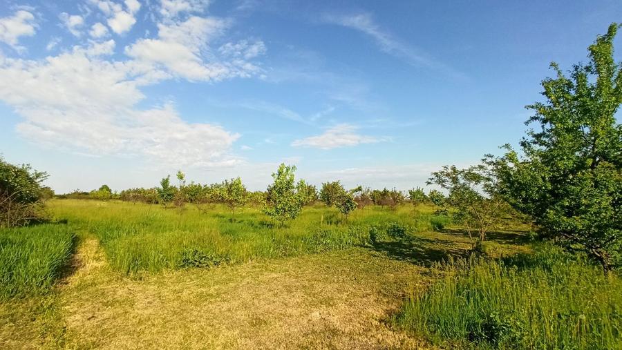 De vanzare 5 ha de teren - 5