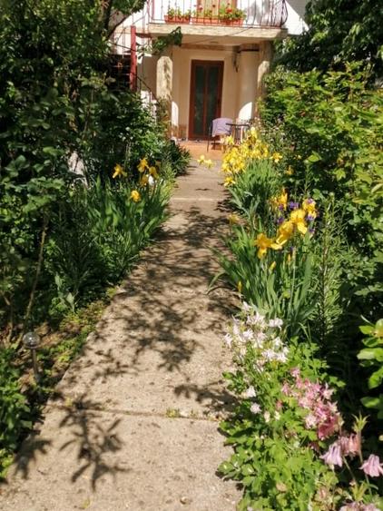 Casa 3 camere 100 mp | teren 937 mp | Vladeni central | mansarda |mobilat utilat - 18