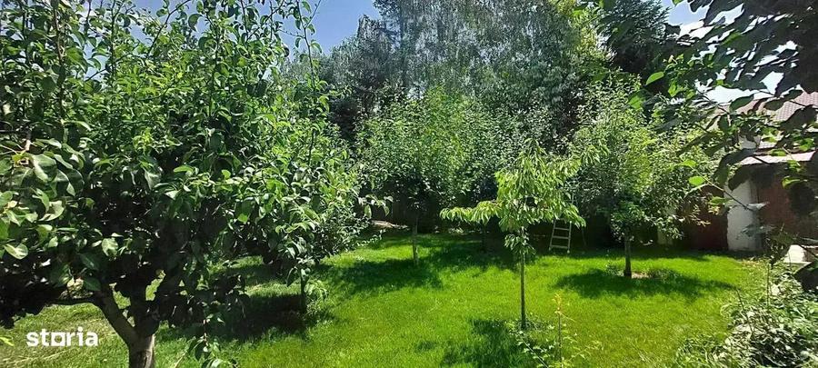 Vila cu 8 Camere Corbeanca | Semineu | Curte 2300mp | Piscina | Sauna - 4