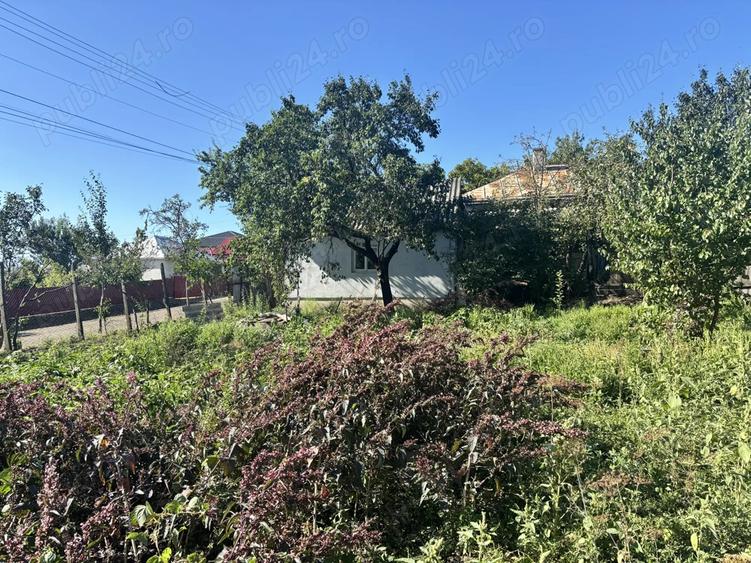 Vand casa cu gradina la strada principala. - 5