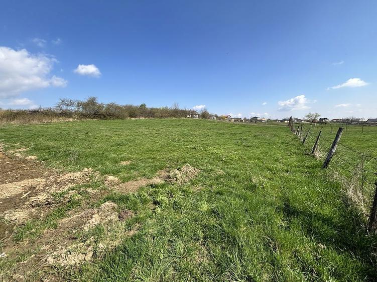 Teren intravilan 1600 mp! - 5