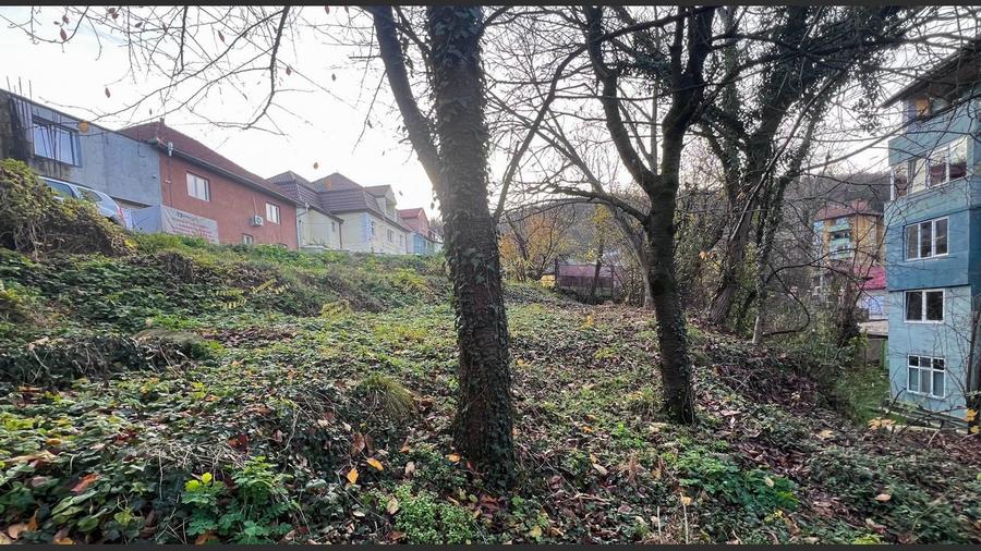 Teren intravilan 1001 mp în Reșița, aproape de centru - 3