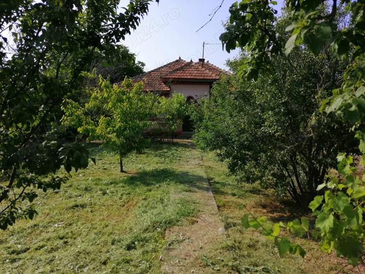 Teren intravilan de vanzare pe care se afla o casa batraneasca - 1