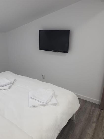 Vila Calea Calarasi 132 - 9