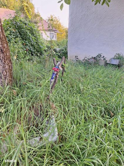 Teren cu casa si anexe - centru comuna, acte in regula - 4