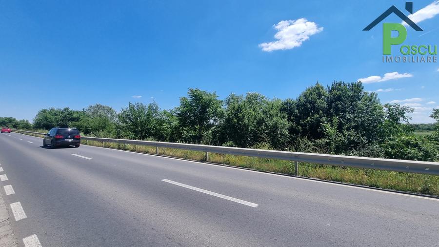 Teren Drum la Chiajna, sector 6, 11.350 mp, D 33 ml - 3