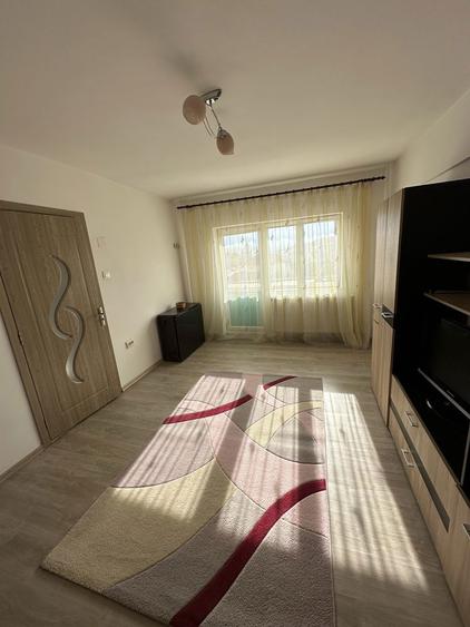 Apartament cu o camera de inchiriat - 7