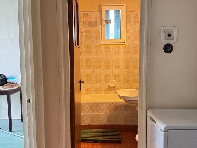 Camil Ressu, Lotrioara, 5 minute parc IOR si metrou Nicolae Grigorescu - 3