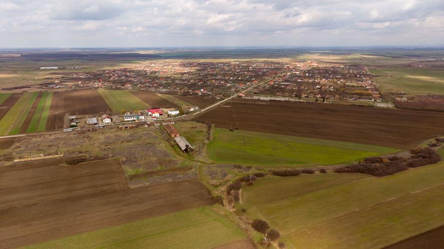 Fermă cu teren intravilan de 35000 mp în Mișca - 2