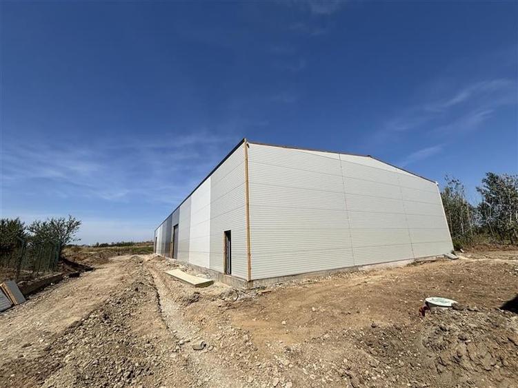 Inchiriere depozit/hala/spatiu industrial Chitila - Centura, ILFOV - 1