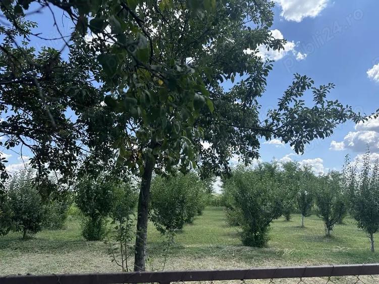 Casa de vanzare in Coste?tii din Vale - 2