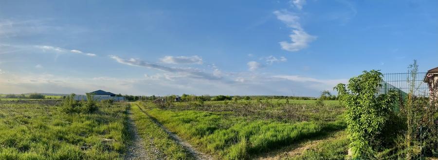 Teren Corbeanca, Balotesti, retras, cu pădure si lac in apropiere - 5