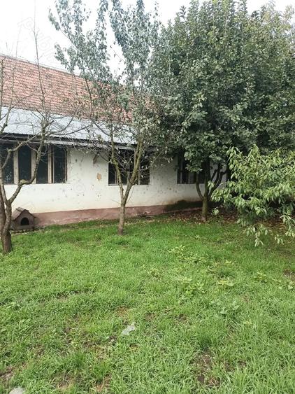 Hala de produc?ie - 2