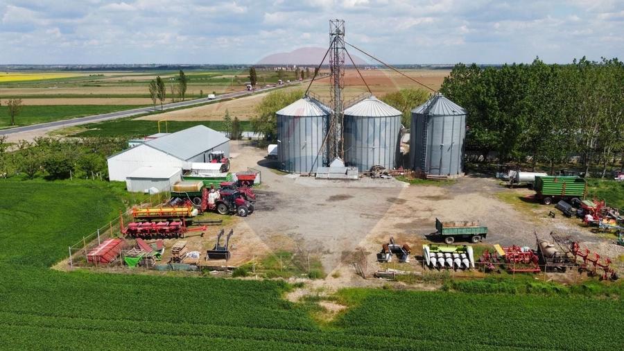 Ferma porcine la cheie - 3