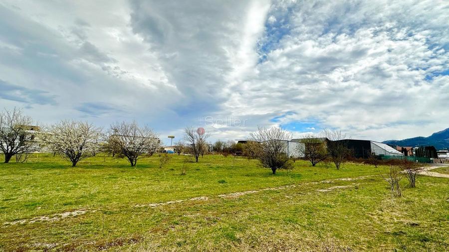 Teren Intravilan Zona Rezidentiala - 5