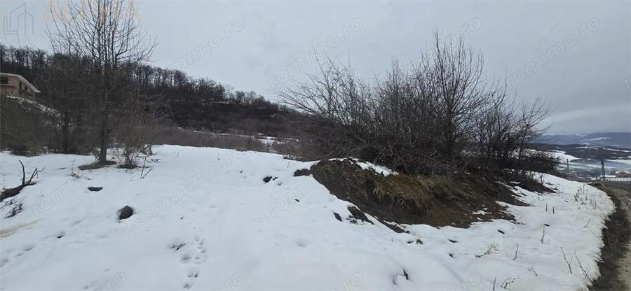 Teren extravilan de vanzare - 2