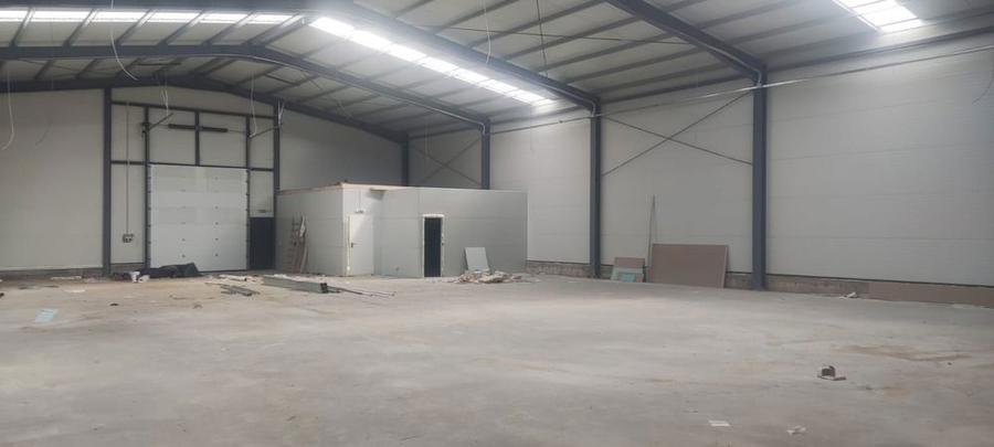 2 hale noi 2025 Afumati- Moara Domneasca - 7