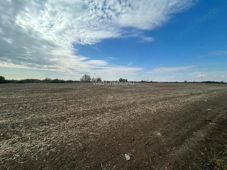 COMISION 0 | Teren extravilan arabil | 10000mp | Sacalaz