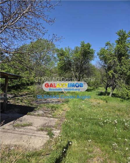 Vindem teren intravilan 3600 mp Calinesti , deschidere 58 m