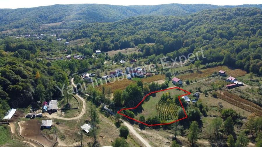 Teren de vanzare in comuna Baicule?ti, sat Tutana, jude? Arge?. - 9