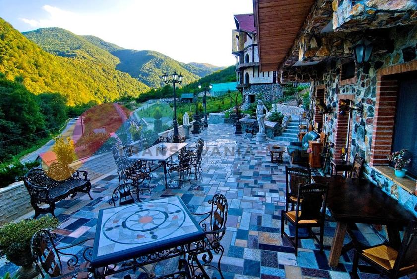 Complex  Printesa din Carpati  - Oportunitate de Investitie Unica pe Valea Aries - 1