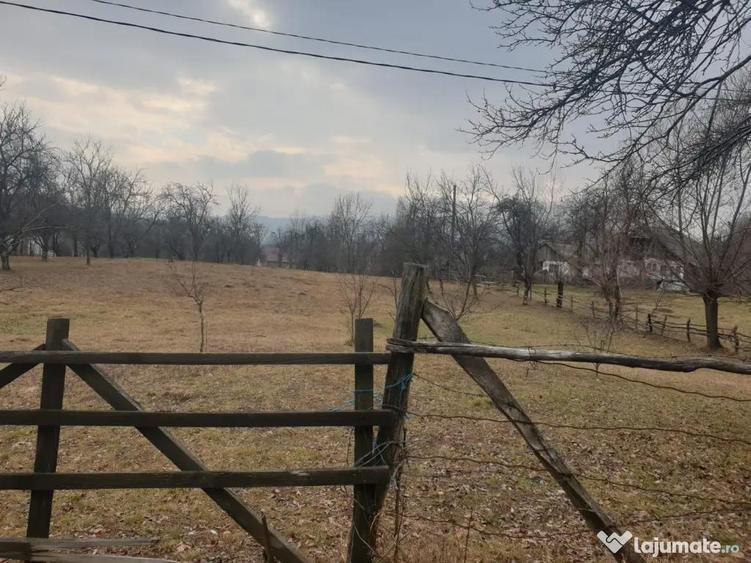 Teren intravilan 2911mp - 2