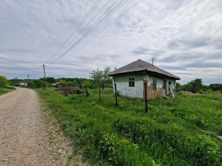 Mosoaia - casuta - Padurea Trivale - Teren intravilan - 11.275 mp/  4300 padure - 1