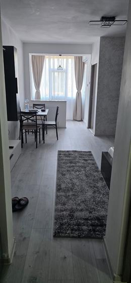 Garsoniera confort 1 / Zona Centrala / Renovata / Propietar - 2