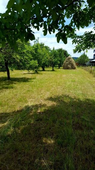 Teren intravilan împrejmuit 2331 mp la strada, toate utilitățile! - 1