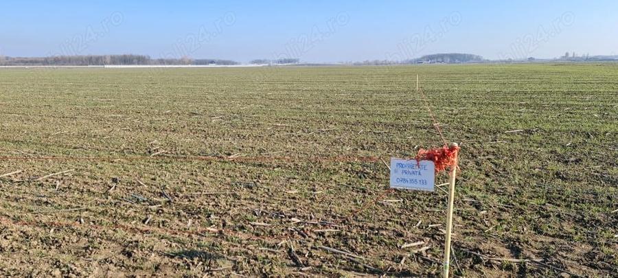 Proprietar vand teren in com. 1 Decembrie - 3