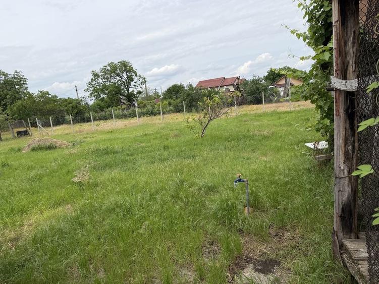 Casa de vanzare in Campineanca 722 m2, toate utilitatile - 3