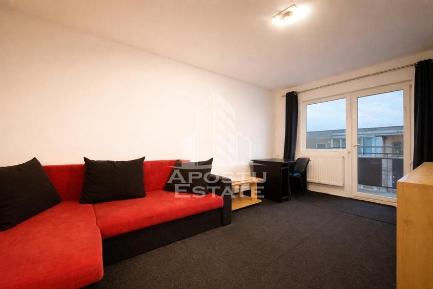 Apartament 1 camera, pet friendly - 1