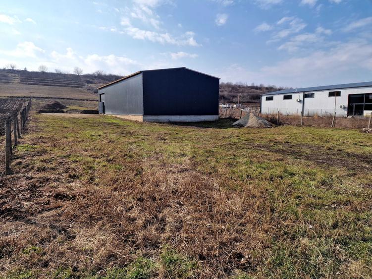 Teren cu hala de vanzare - 6