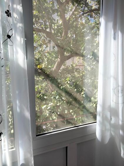 Garsoniera de închiriat pe termen de 6 luni 1200 roni - 3