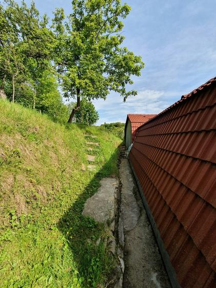 Vind vila in satul ROD- Pe drumul TRANSALPINA - 3