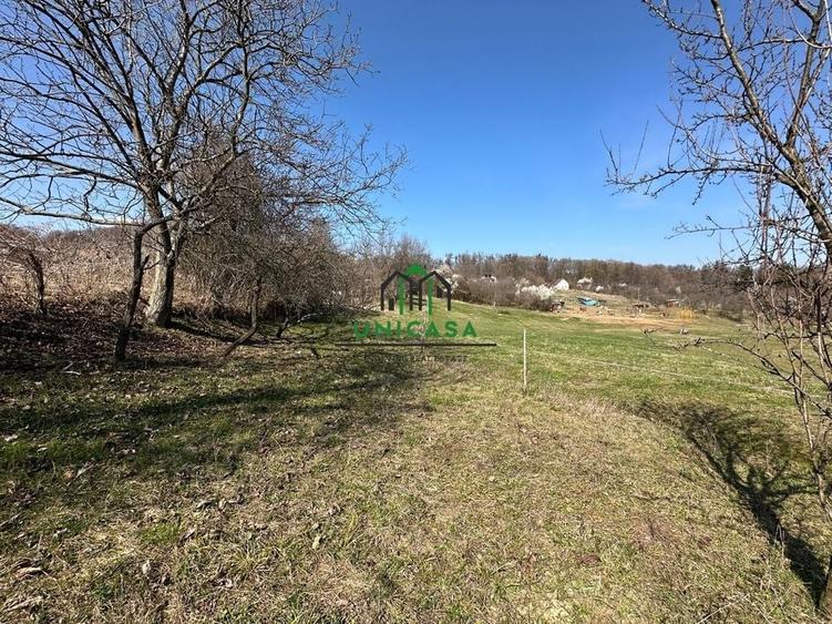 Teren Govora / 8131mp - 1