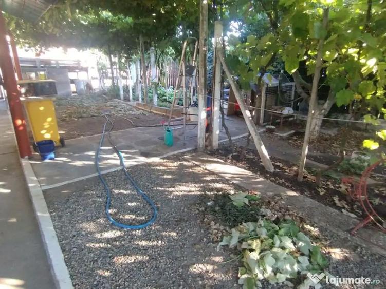 Casa, gradina, teren mare - Palazu Mare - 3