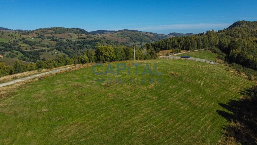 Comision 0% teren intravilan 1000 mp, PUZ, priveliste, Baisoara - 8