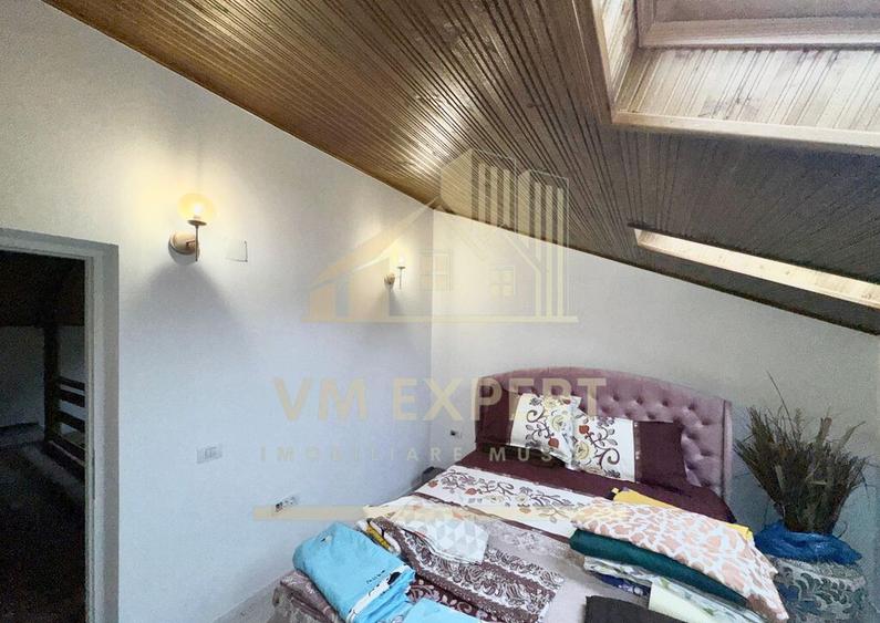 CASA 5 CAMERE 252 MP TEREN 1362 MP DRAGOSLAVELE ARGE? - 10